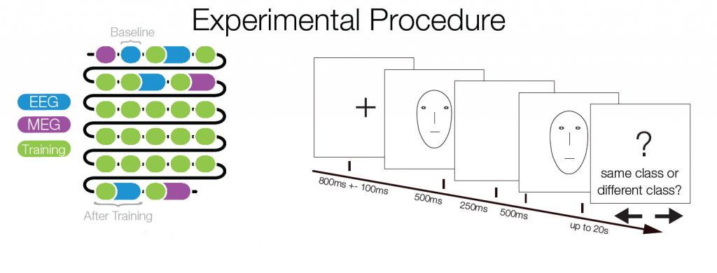 experimentalprocedure
